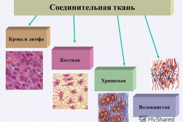 Кракен официальная ссылка зеркало