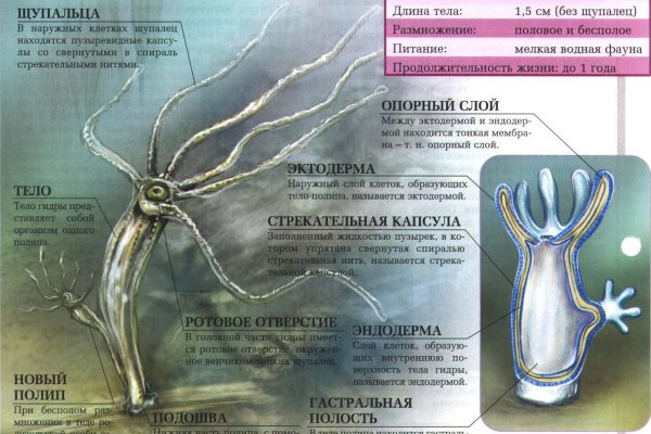 Кракен клир ссылка