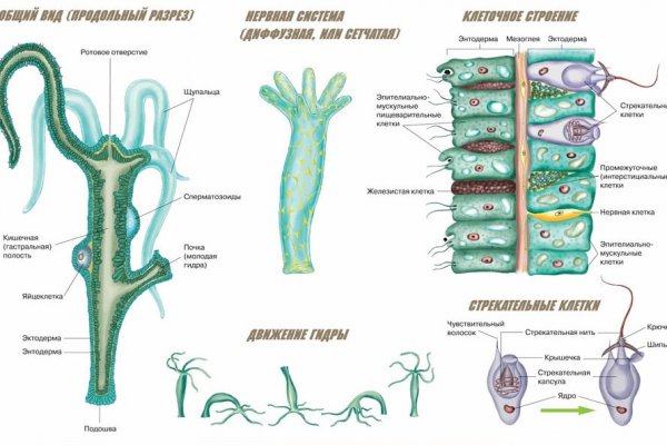 Kraken tor onion зеркало