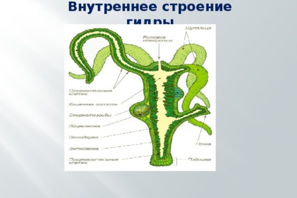 Рабочая ссылка кракен маркетплейс